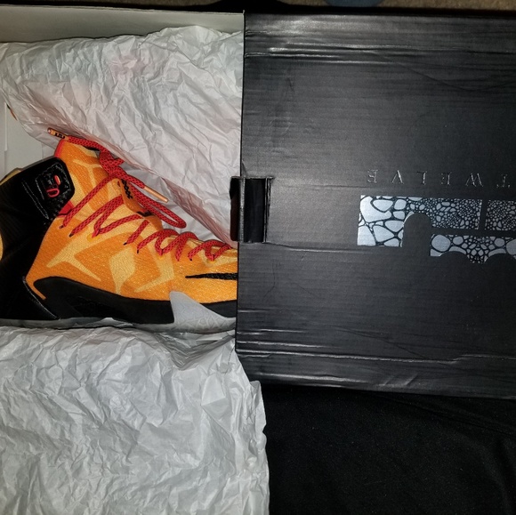 Nike Other - Lebron XII